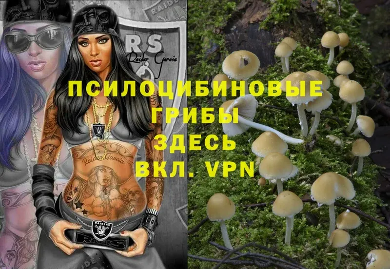 Галлюциногенные грибы Magic Shrooms  shop формула  Микунь 